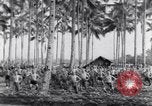 Image of British prisoners of war Pacific theater, 1941, second 37 stock footage video 65675037307