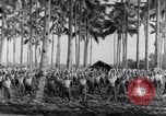 Image of British prisoners of war Pacific theater, 1941, second 53 stock footage video 65675037307