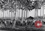 Image of British prisoners of war Pacific theater, 1941, second 54 stock footage video 65675037307