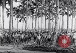 Image of British prisoners of war Pacific theater, 1941, second 59 stock footage video 65675037307