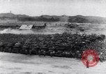 Image of Prisoners at work Pacific theater, 1941, second 12 stock footage video 65675037308