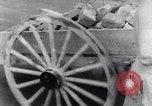 Image of Prisoners at work Pacific theater, 1941, second 37 stock footage video 65675037308