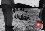 Image of prisoners swimming and playing Pacific theater, 1941, second 17 stock footage video 65675037310
