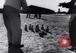 Image of prisoners swimming and playing Pacific theater, 1941, second 19 stock footage video 65675037310