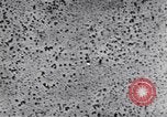 Standbild Test von AZON United States USA, 1944, aus Sekunde 39 historischem Filmmaterial Videoclip 65675037317
