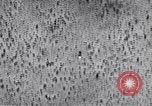 Standbild Test von AZON United States USA, 1944, aus Sekunde 40 historischem Filmmaterial Videoclip 65675037317