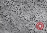 Standbild Test von AZON United States USA, 1944, aus Sekunde 45 historischem Filmmaterial Videoclip 65675037317