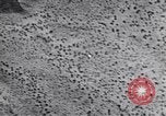 Standbild Test von AZON United States USA, 1944, aus Sekunde 46 historischem Filmmaterial Videoclip 65675037317
