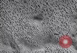 Standbild Test von AZON United States USA, 1944, aus Sekunde 55 historischem Filmmaterial Videoclip 65675037317