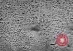 Standbild Test von AZON United States USA, 1944, aus Sekunde 56 historischem Filmmaterial Videoclip 65675037317