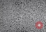 Standbild Test von AZON United States USA, 1944, aus Sekunde 58 historischem Filmmaterial Videoclip 65675037317