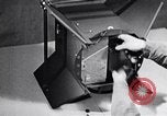Standbild AZON Bombe United States USA, 1944, aus Sekunde 30 historischem Filmmaterial Videoclip 65675037318