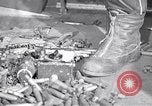Immagine di Bombardieri B-17 e B-24 e B-29 Germania, 1944, secondo 23 filmato di repertorio 65675037327