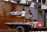 Image of Unloading of oil barrels Saigon Vietnam, 1966, second 51 stock footage video 65675037335