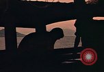 Image of United States 720th military police Vung Tau Vietnam, 1970, second 27 stock footage video 65675037352
