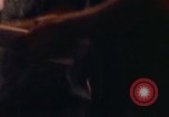Image of United States 720th military police Vung Tau Vietnam, 1970, second 35 stock footage video 65675037352