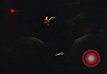 Image of United States 720th military police Vung Tau Vietnam, 1970, second 56 stock footage video 65675037354