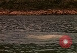 Immagine di Il riposo e la ricreazione Khanh Hoa Vietnam, 1971, secondo 1 filmato di repertorio 65675037356