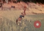 Standbild amerikanische Soldat Khanh Hoa Vietnam, 1971, aus Sekunde 29 historischem Filmmaterial Videoclip 65675037357