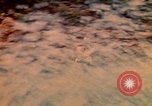 Standbild amerikanische Soldat Khanh Hoa Vietnam, 1971, aus Sekunde 53 historischem Filmmaterial Videoclip 65675037357