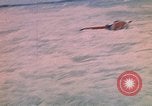 Standbild Soldaten surfen Vung Tau Vietnam, 1971, aus Sekunde 32 historischem Filmmaterial Videoclip 65675037366