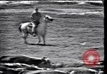 Image of Lyndon Johnson Texas United States USA, 1963, second 3 stock footage video 65675037400