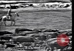 Image of Lyndon Johnson Texas United States USA, 1963, second 24 stock footage video 65675037400