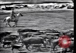 Image of Lyndon Johnson Texas United States USA, 1963, second 25 stock footage video 65675037400