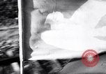 Image of World Peace Congress Warsaw Poland, 1950, second 6 stock footage video 65675037403