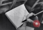 Image of World Peace Congress Warsaw Poland, 1950, second 31 stock footage video 65675037406