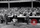 Immagine di Esercito contro Notre Dame New York United States USA, 1946, secondo 62 filmato di repertorio 65675037421