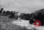 Image of Puerto Rican soldiers Puerto Rico, 1951, second 18 stock footage video 65675037430