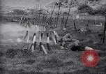 Image of Puerto Rican soldiers Puerto Rico, 1951, second 38 stock footage video 65675037430