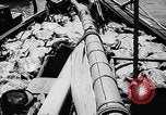 Image of turtles Florida United States USA, 1951, second 6 stock footage video 65675037431