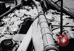 Image of turtles Florida United States USA, 1951, second 7 stock footage video 65675037431
