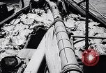 Image of turtles Florida United States USA, 1951, second 8 stock footage video 65675037431