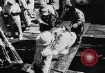 Image of turtles Florida United States USA, 1951, second 16 stock footage video 65675037431