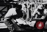 Image of turtles Florida United States USA, 1951, second 18 stock footage video 65675037431