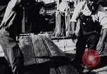 Image of turtles Florida United States USA, 1951, second 19 stock footage video 65675037431