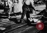 Image of turtles Florida United States USA, 1951, second 21 stock footage video 65675037431