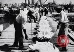 Image of turtles Florida United States USA, 1951, second 27 stock footage video 65675037431