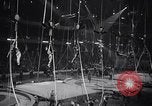 Image of circus benefit for New York Heart Fund New York City USA, 1951, second 7 stock footage video 65675037432