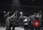 Image of circus benefit for New York Heart Fund New York City USA, 1951, second 37 stock footage video 65675037432