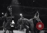 Image of circus benefit for New York Heart Fund New York City USA, 1951, second 39 stock footage video 65675037432