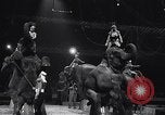 Image of circus benefit for New York Heart Fund New York City USA, 1951, second 40 stock footage video 65675037432
