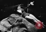 Image of circus benefit for New York Heart Fund New York City USA, 1951, second 58 stock footage video 65675037432