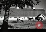 Image of horses United States USA, 1945, second 8 stock footage video 65675037434