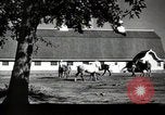 Image of horses United States USA, 1945, second 9 stock footage video 65675037434
