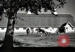 Image of horses United States USA, 1945, second 10 stock footage video 65675037434