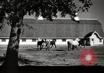 Image of horses United States USA, 1945, second 11 stock footage video 65675037434